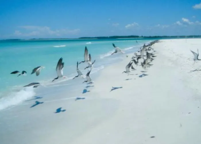 Paradise Found - Private Oasis With Heated Pool On Marco Island Hotel