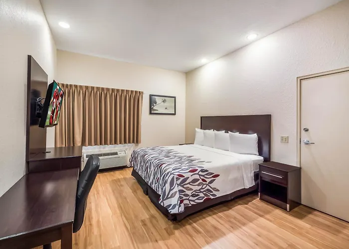 Red Roof Inn Ocala