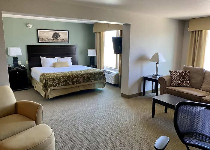 Comfort Inn & Suites Frisco East - Mckinney