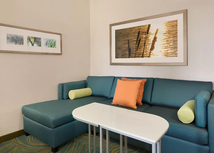 Springhill Suites By Marriott Tuscaloosa