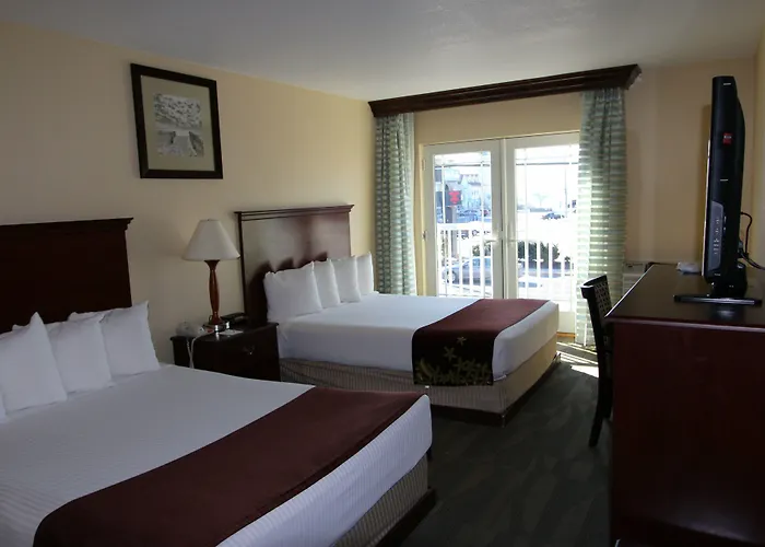 Gold Leaf Hotel Of Dewey Dewey Beach